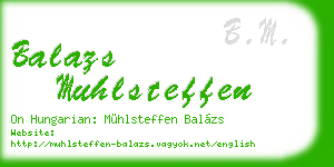 balazs muhlsteffen business card
